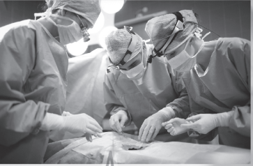 ����ָ�������